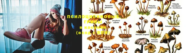 трава Баксан