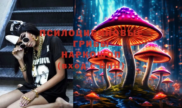 гидропоника Аркадак